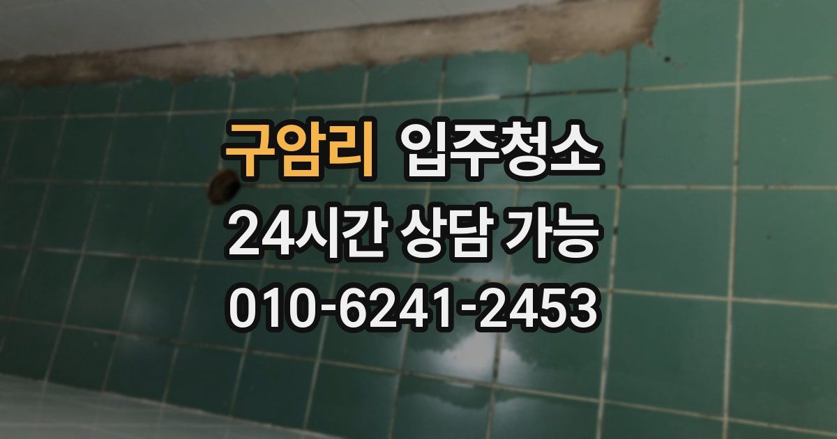 구암리 입주청소