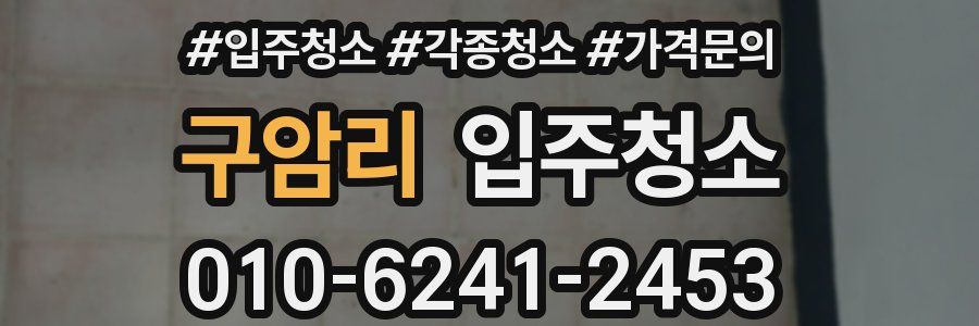 구암리 이사청소