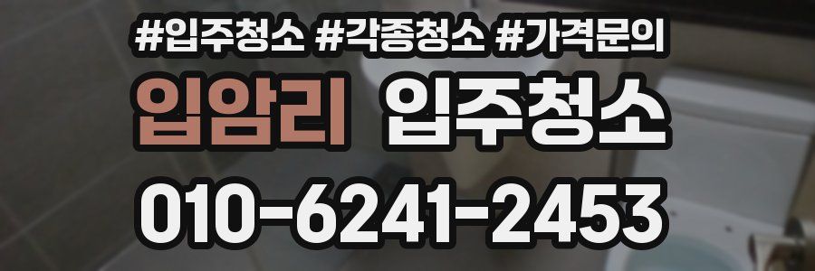 입암리 이사청소