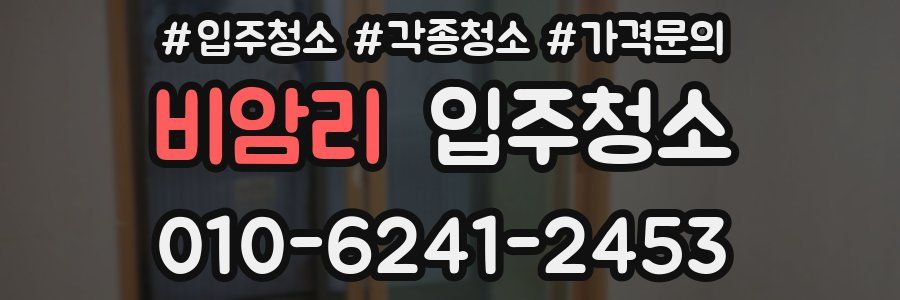 비암리 이사청소