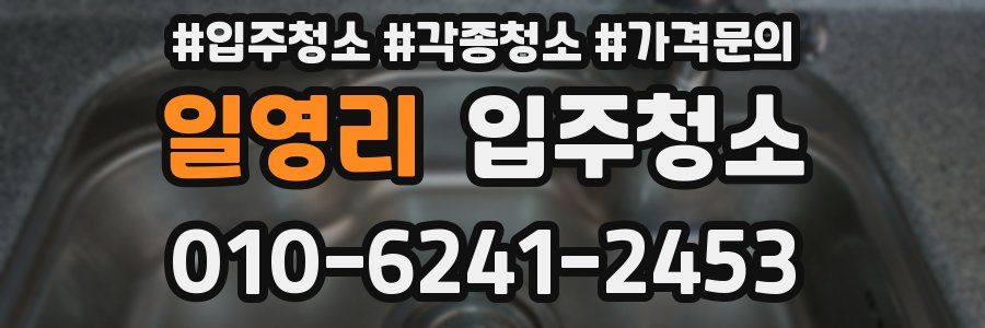 일영리 이사청소