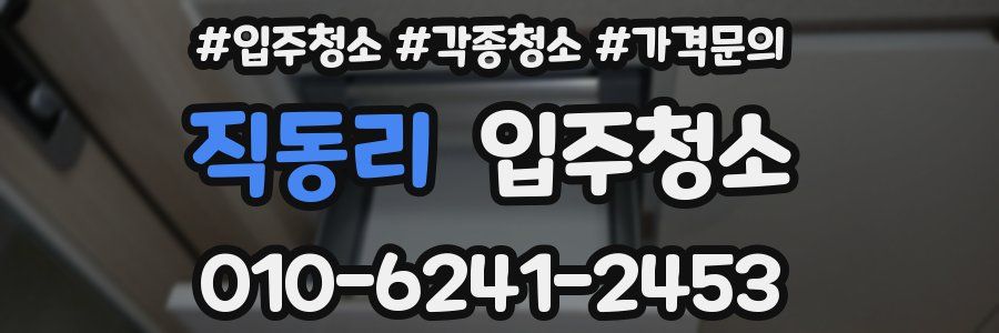 직동리 이사청소