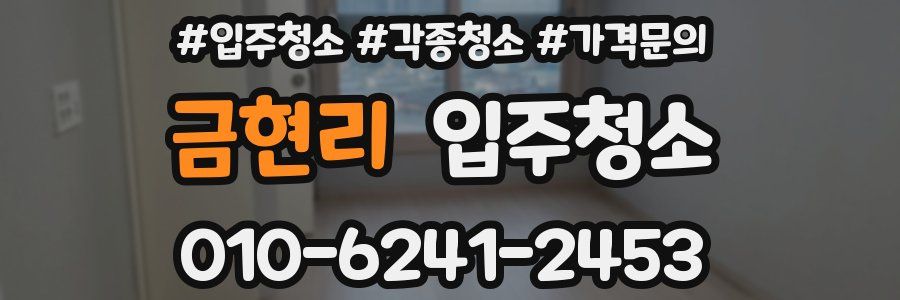 금현리 이사청소