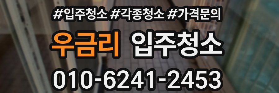 우금리 이사청소