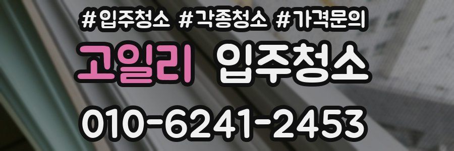 고일리 이사청소