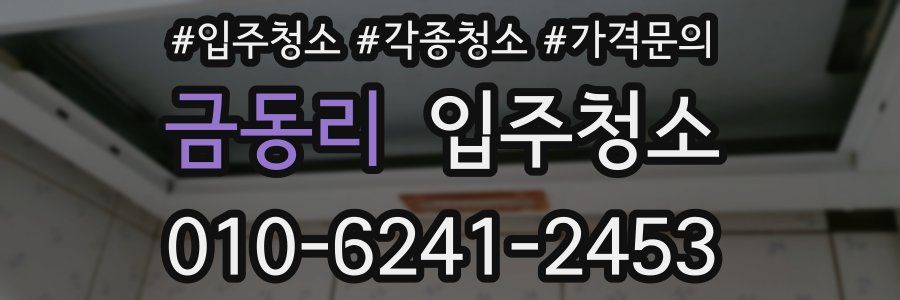 금동리 이사청소