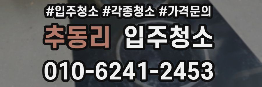 추동리 이사청소