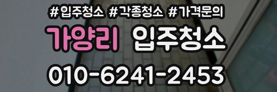 가양리 이사청소