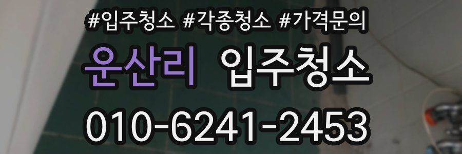 운산리 이사청소