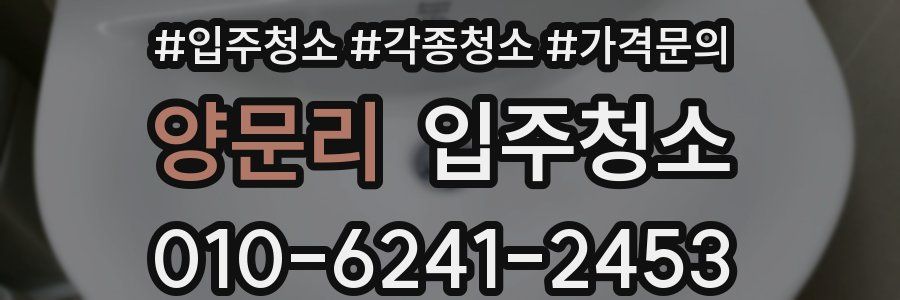 양문리 이사청소