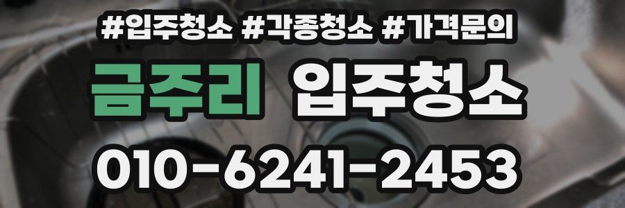 금주리 이사청소