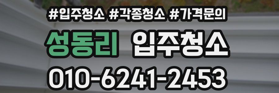 성동리 이사청소