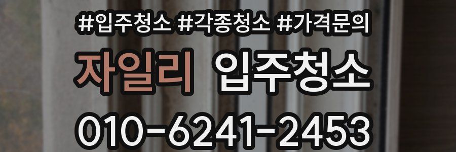 자일리 이사청소