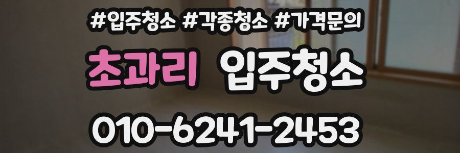 초과리 이사청소