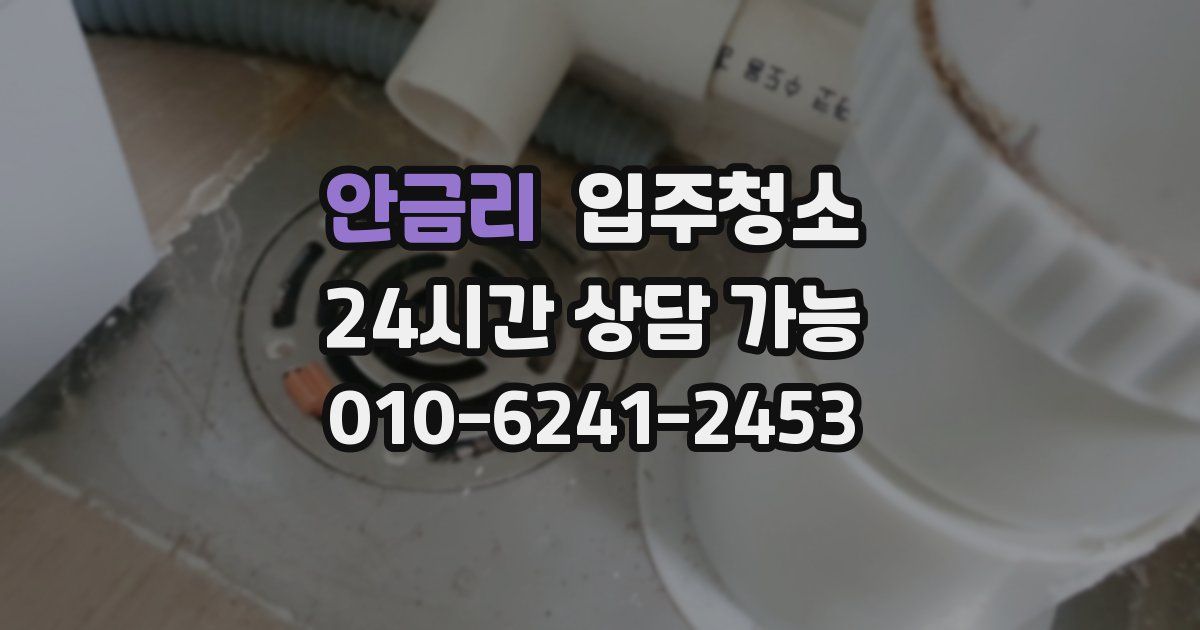 안금리 입주청소