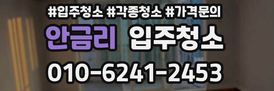 안금리 이사청소