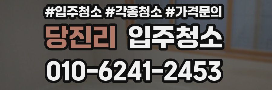 당진리 이사청소