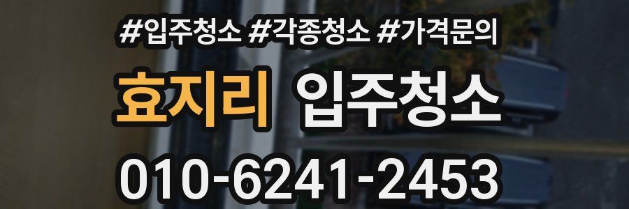 효지리 이사청소