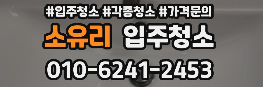 소유리 이사청소