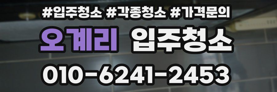 오계리 이사청소