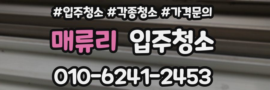 매류리 이사청소