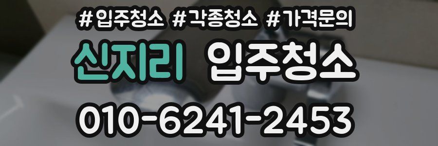 신지리 이사청소