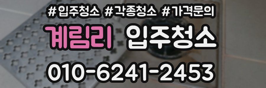 계림리 이사청소