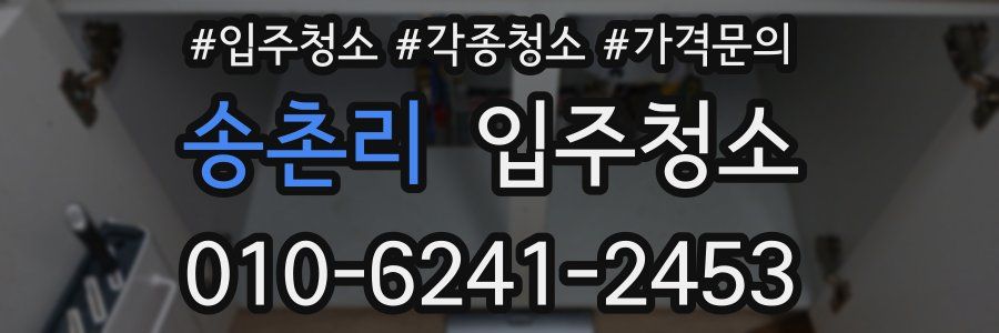 송촌리 이사청소