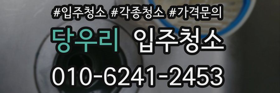 당우리 이사청소