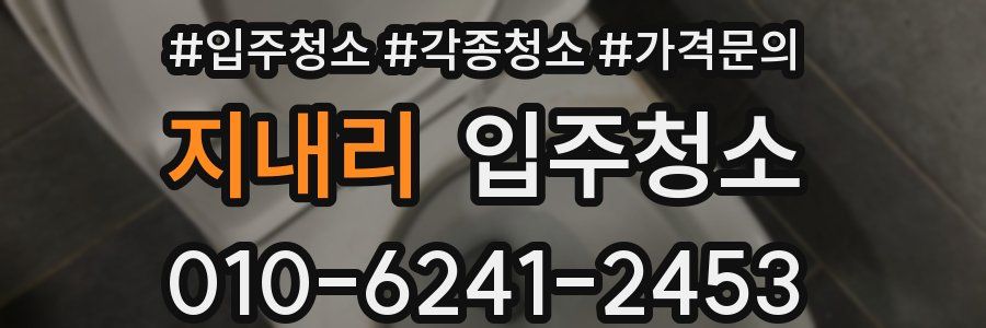 지내리 이사청소