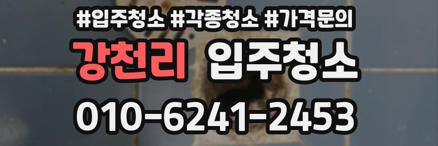 강천리 이사청소