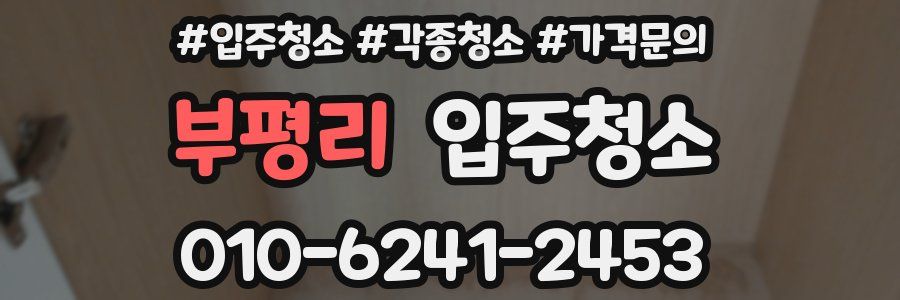 부평리 이사청소