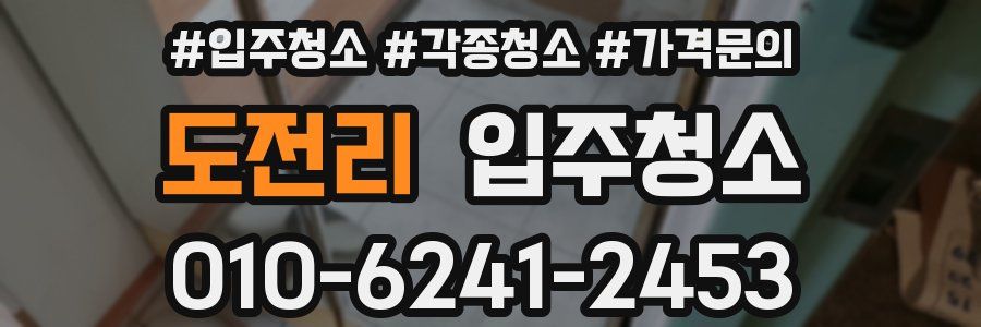 도전리 이사청소