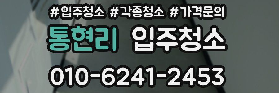 통현리 이사청소