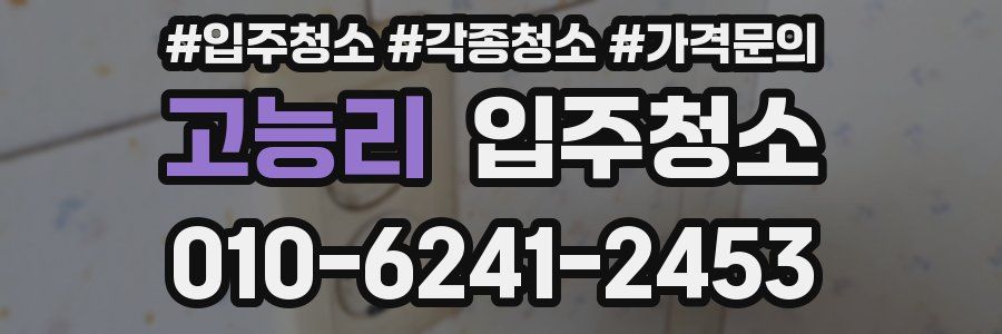 고능리 이사청소