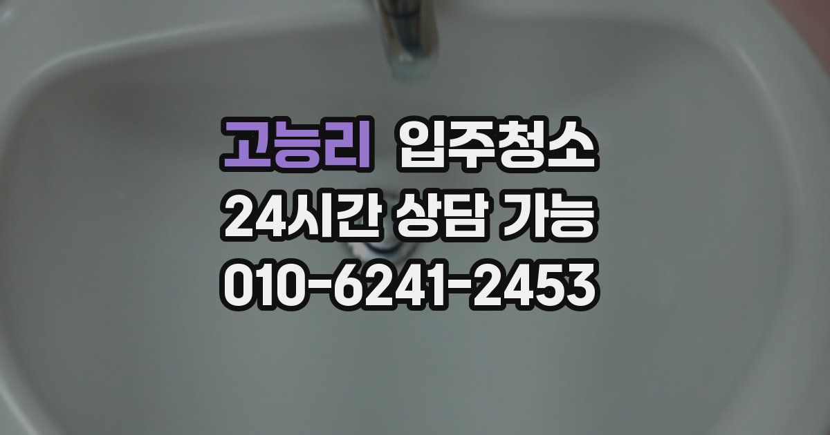 고능리 입주청소