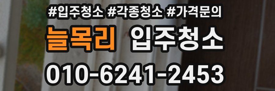 늘목리 이사청소