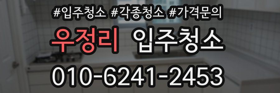 우정리 이사청소