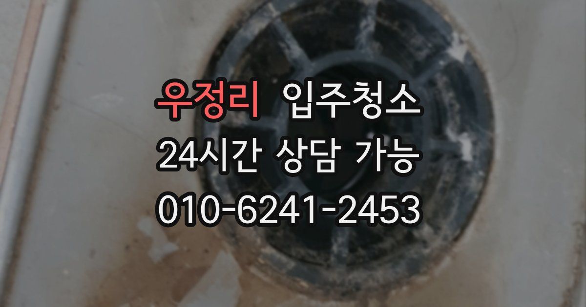 우정리 입주청소