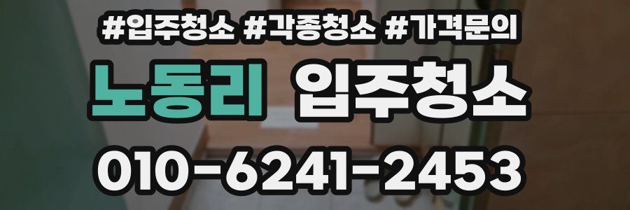 노동리 이사청소