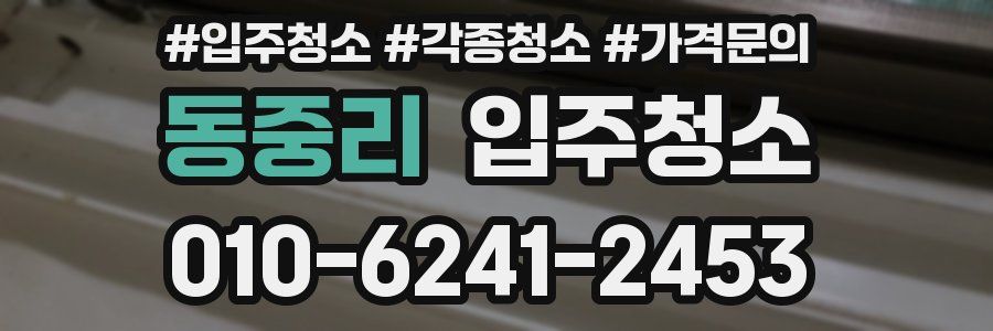 동중리 이사청소