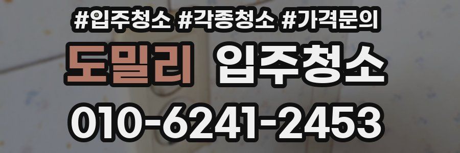 도밀리 이사청소