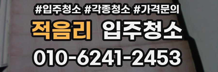 적음리 이사청소