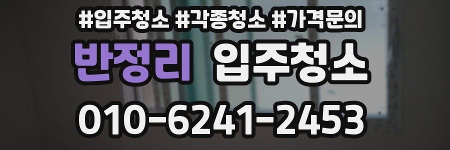 반정리 이사청소