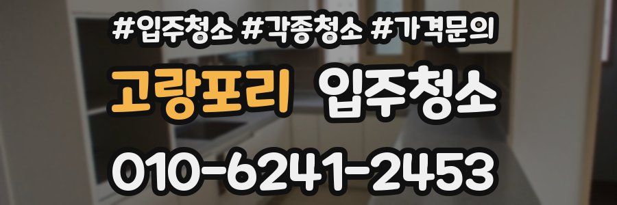 고랑포리 이사청소