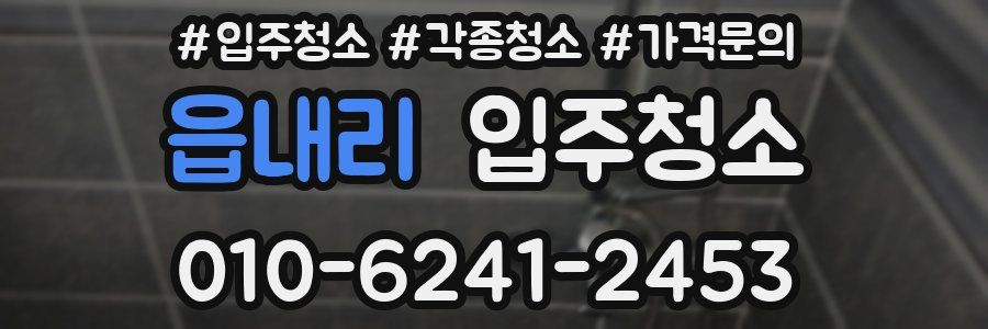 읍내리 이사청소