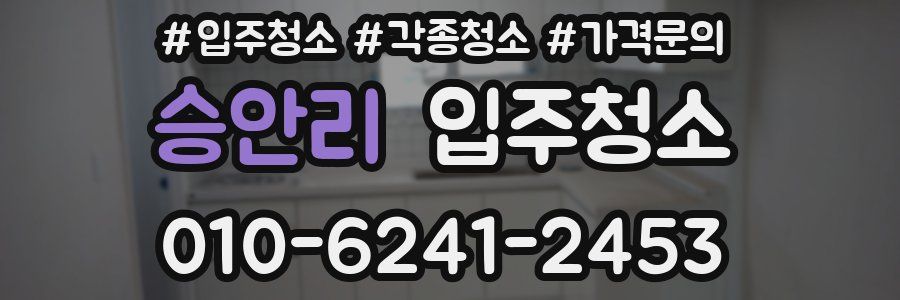 승안리 이사청소