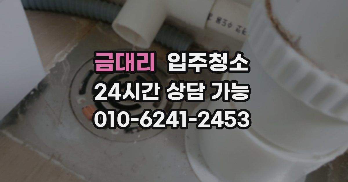 금대리 입주청소