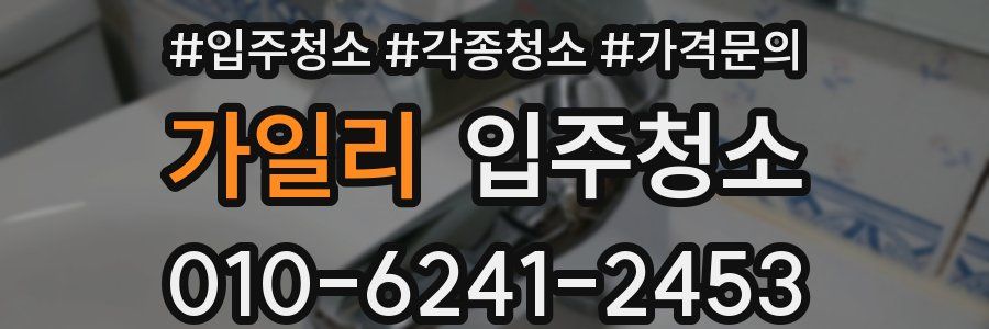 가일리 이사청소