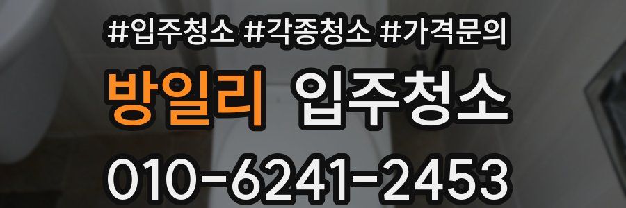 방일리 이사청소